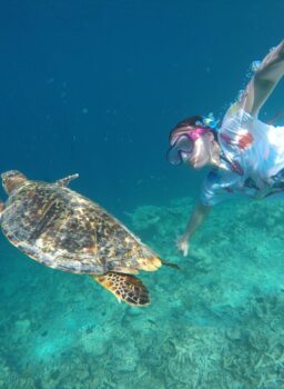 Snorkeling